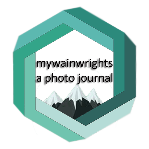 Blog Logo